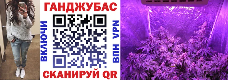 Шишки марихуана тримм  Краснодар 